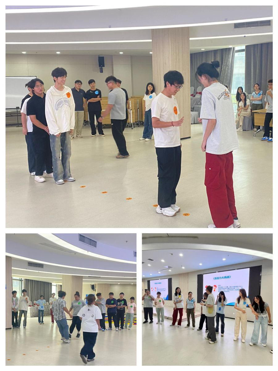 1770346812130590RP6y.jpg 1770346812130590RP6y.jpg